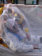 DSC01800