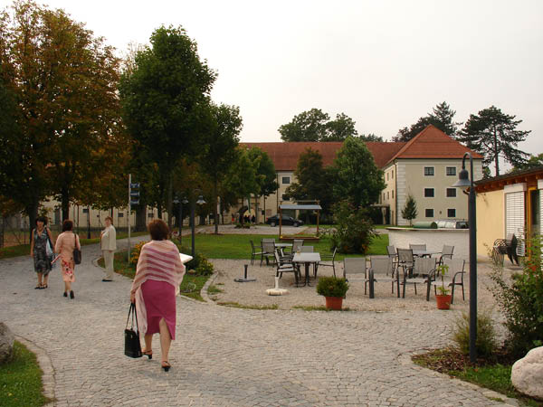 DSC01213