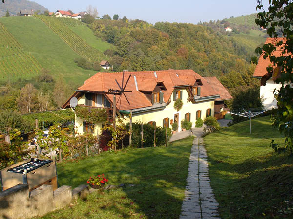 DSC01310
