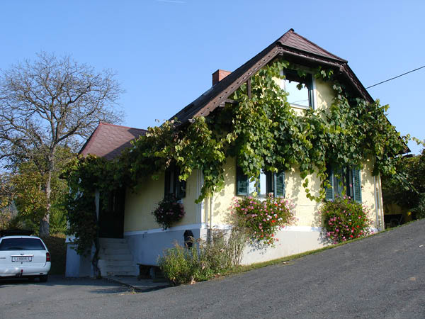 DSC01313