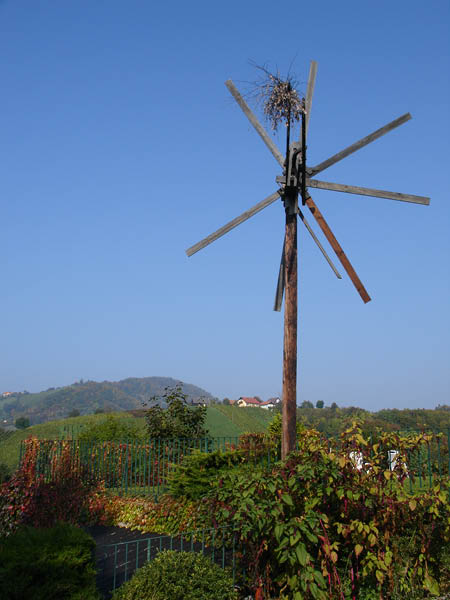 DSC01314