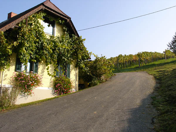 DSC01315