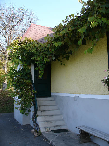 DSC01316