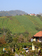 DSC01311