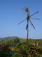 DSC01314