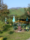 DSC01319