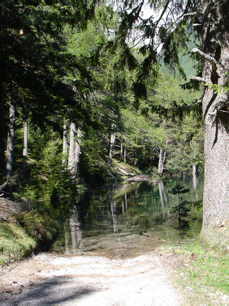DSC00605