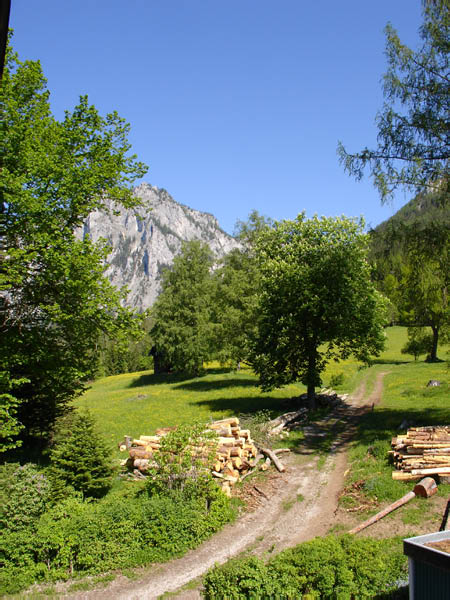 DSC00624