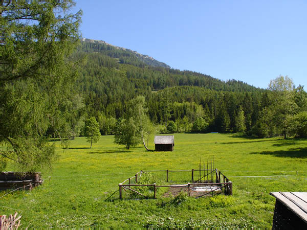 DSC00625