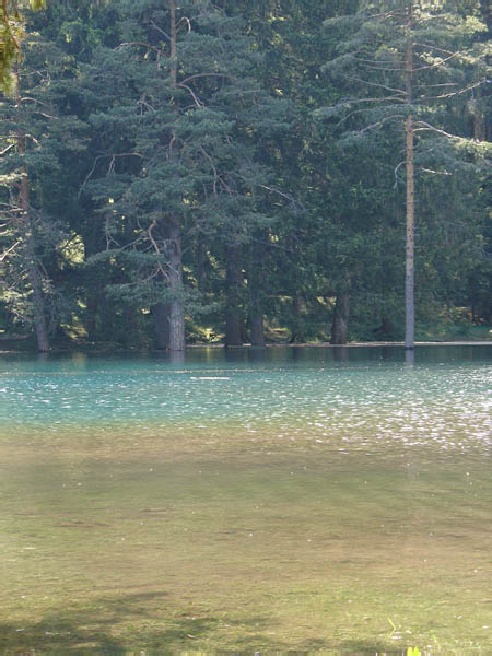 DSC00670
