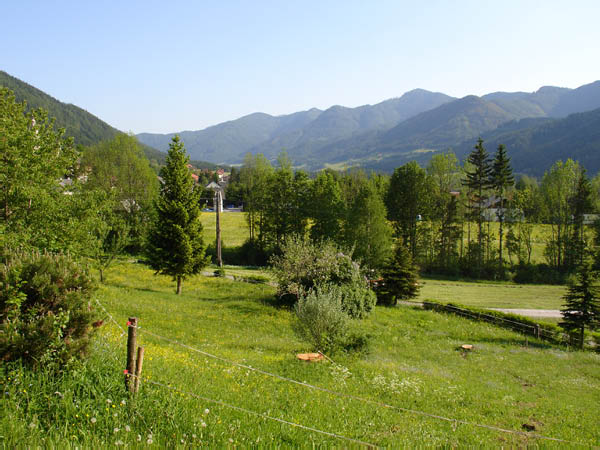 DSC00679