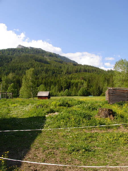 DSC00680