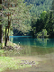 DSC00602