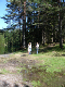 DSC00604