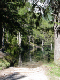 DSC00605