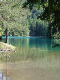 DSC00610