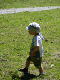 DSC00637