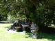 DSC00641