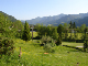 DSC00679