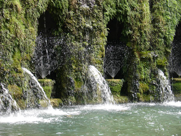 DSC01017