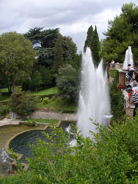 DSC01018