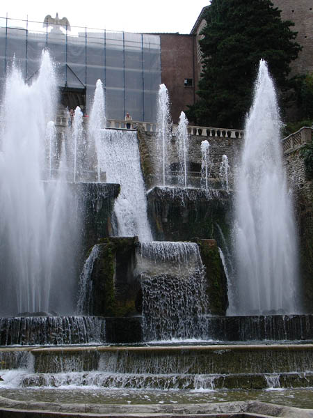DSC01028