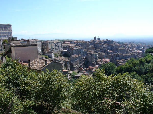 DSC01136