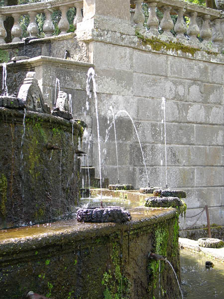 DSC01154