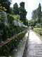 DSC01010